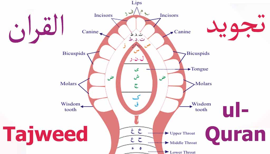 Learn Tajweed online